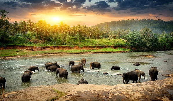 Srí Lanka