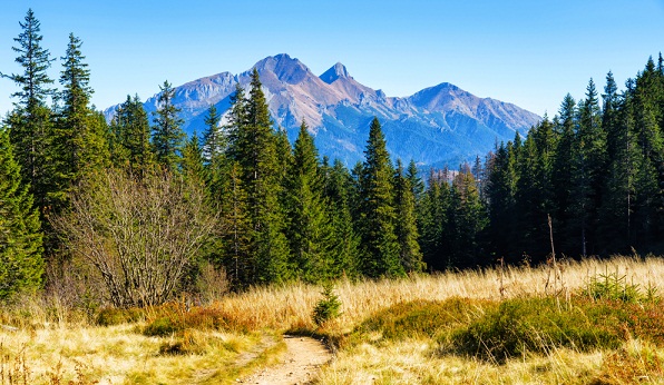 Tatry